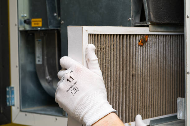 Best Residential Air Duct Cleaning  in Allison, IA